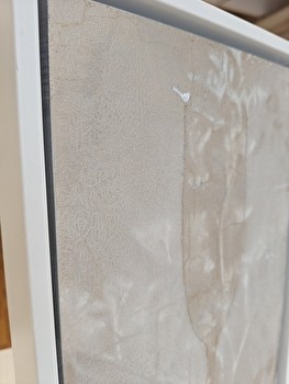 Tarjoilija! Lisää shamppanjaa!  teoskoko 30x21cm