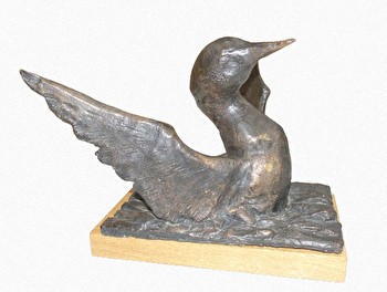 Kuikka  21x26x26cm