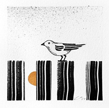 Uniikkeja muste- / akryylipiirroksia, AURINKO AIDAN VÄLISSÄ, kehystämättömiä, kuvakoko 17x17cm