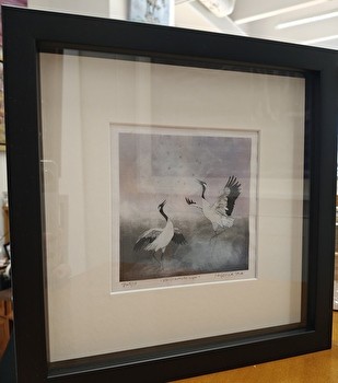 1.  Vitriinikehys Pia Feinikin grafiikan vedokseen