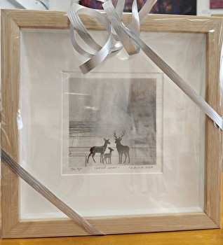 1.  Vitriinikehys Pia Feinikin grafiikan vedokseen