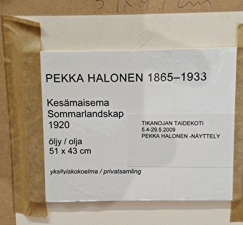 Kesämaisema 51x43cm